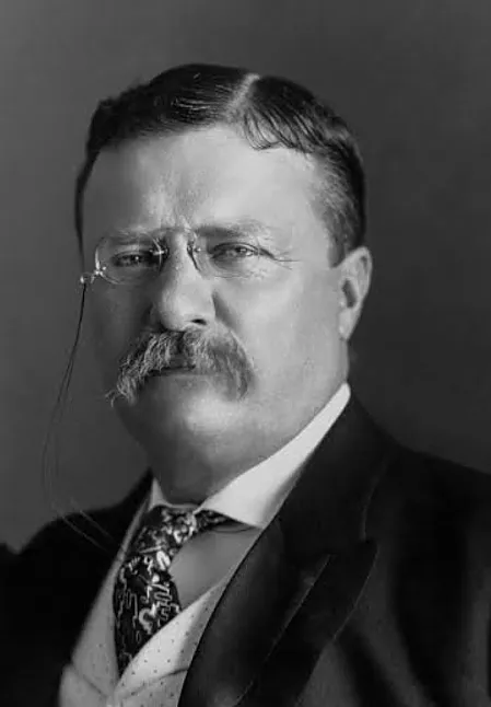 Theodore Roosevelt Kimdir?