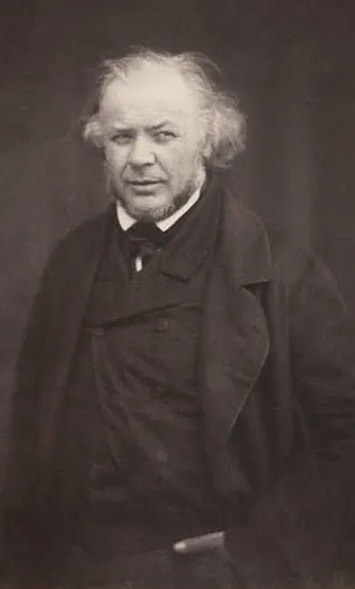 Honoré Daumier Kimdir? 