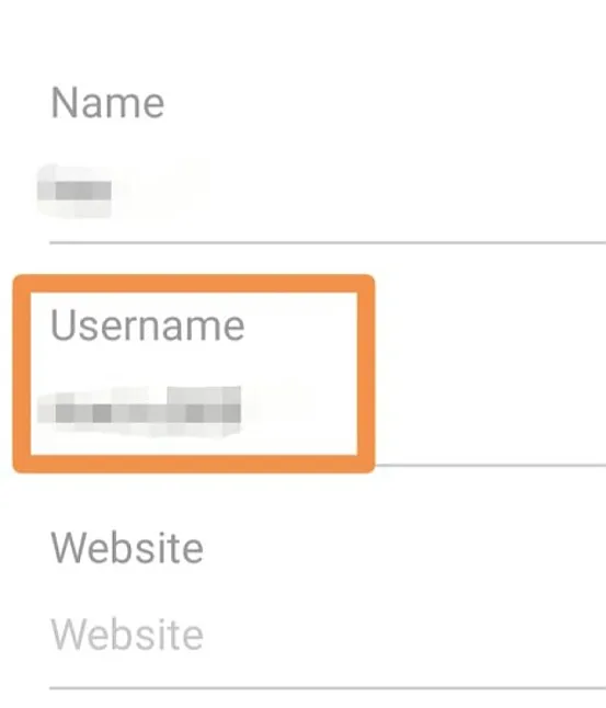 Instagram'da "Kullanıcı Bulunamadı" ne anlama geliyor?