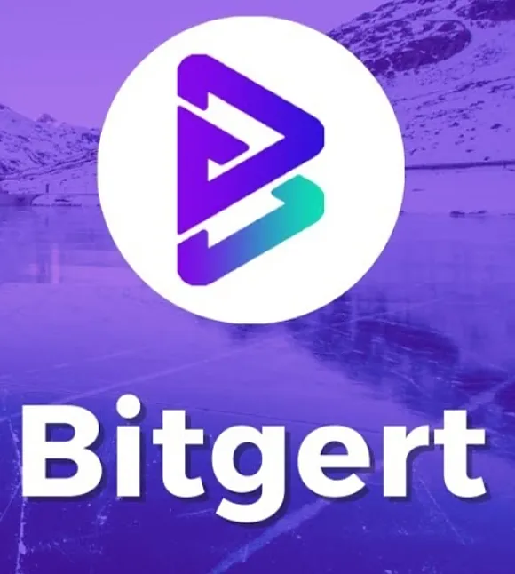 BRISE Coin ne işe yarar BRISE Coin Yorumlanması