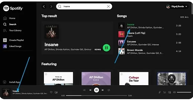 Spotify şarkı tıklamaları nasıl görülür ?