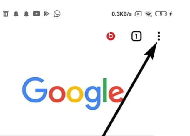 Giriş Yaparken Netflix Şifresi Nasıl Görülür?