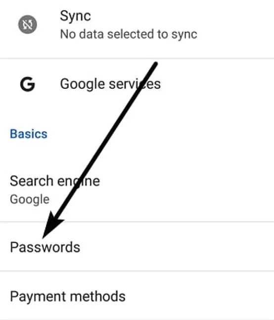 Giriş Yaparken Netflix Şifresi Nasıl Görülür?