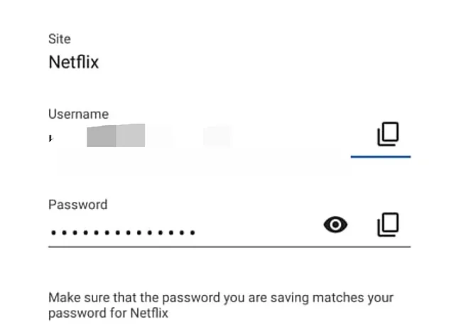 Giriş Yaparken Netflix Şifresi Nasıl Görülür?