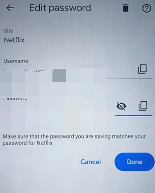 Giriş Yaparken Netflix Şifresi Nasıl Görülür?