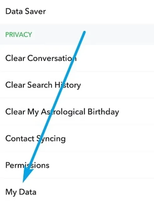 Silinen Snapchat Videoları Nasıl Geri Getirilir? 