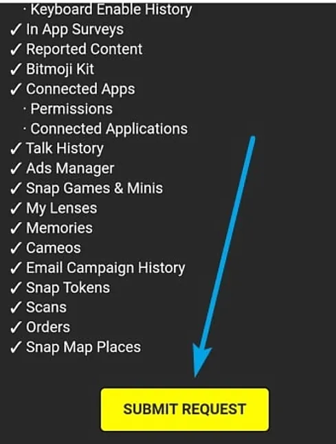 Silinen Snapchat Videoları Nasıl Geri Getirilir? 