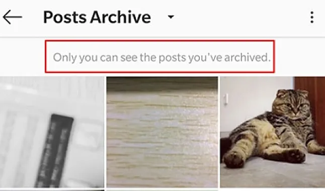 Birinin Silinen Instagram Gönderilerini Nasıl Görebilirim?