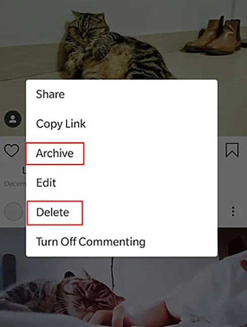 Birinin Silinen Instagram Gönderilerini Nasıl Görebilirim?