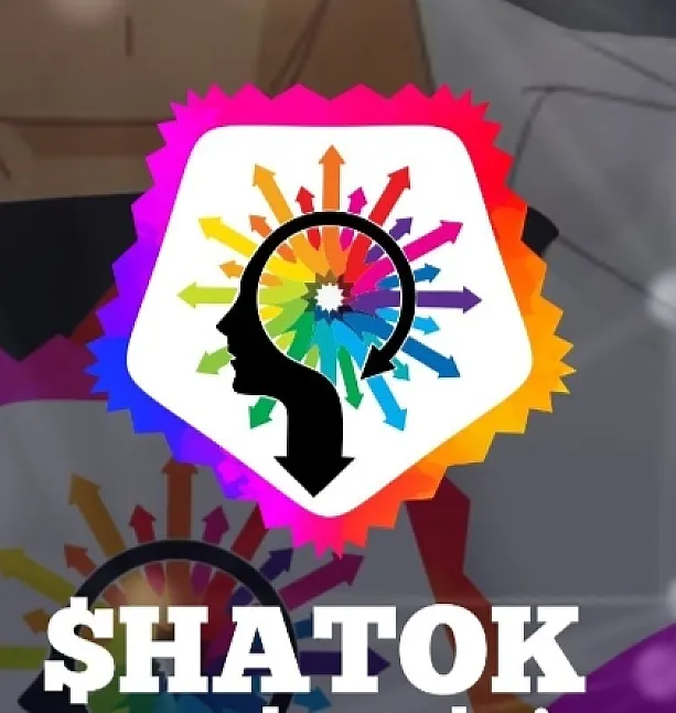 Hatoken Coin Nedir? HATOK Coin Ne İşe Yarar? 