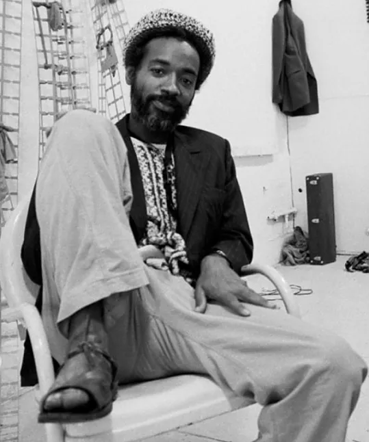 David Hammons'un Kariyeri Hakkında Bilgiler David Hammons Kimdir?