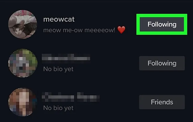 TikTok'ta Arkadaşlar Listenizde Kimlerin Olduğunu Nasıl Görebilirsiniz?