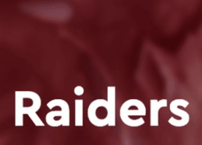 RAIDER Coin