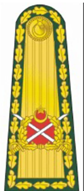 Rüyada Mareşal Görmek