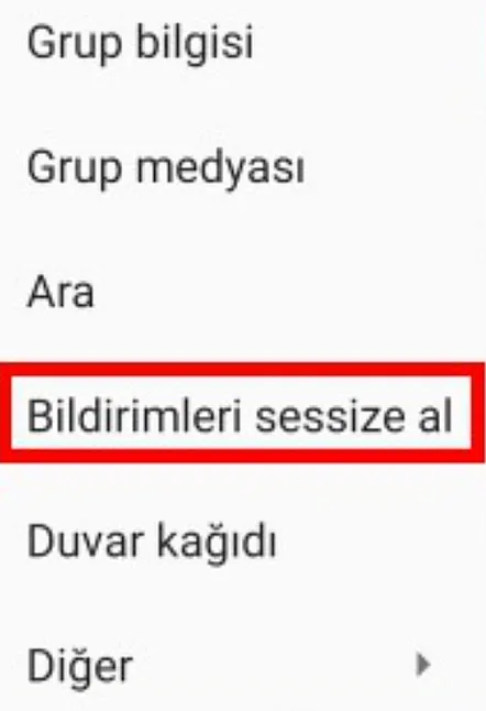 Bildirim Olmadan WhatsApp Grubundan Ayrılma