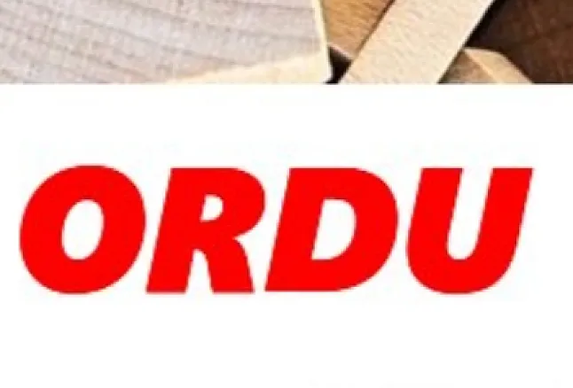 Rüyada Ordu Görmek Ne Anlama Gelir?