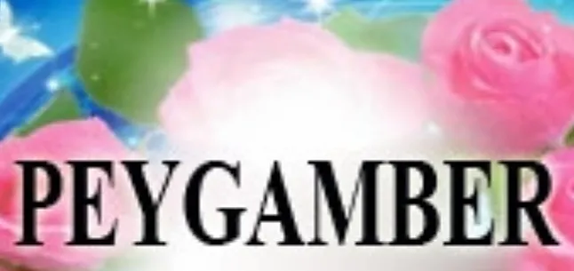 Rüyada Peygamber Görmek