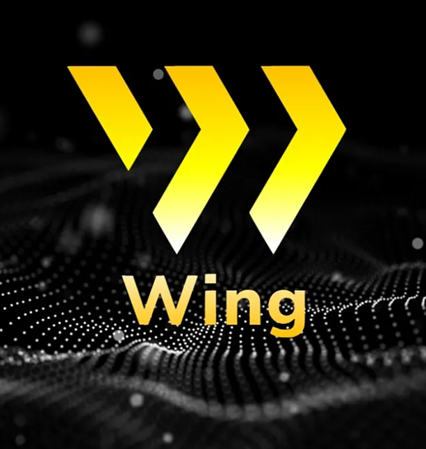 Wing Finance Ne İşe Yarar ?