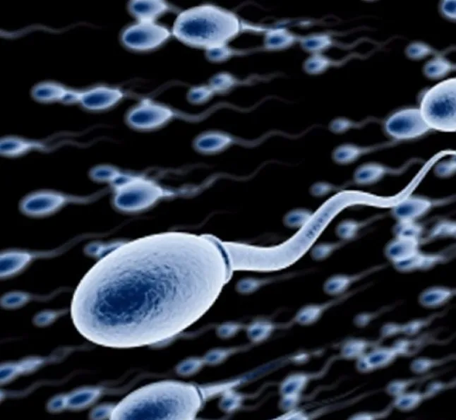 Rüyada Sperm Görmek Ne Anlama Gelir?