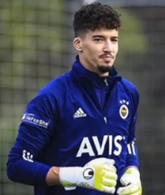 Altay Bayındır Biyografi