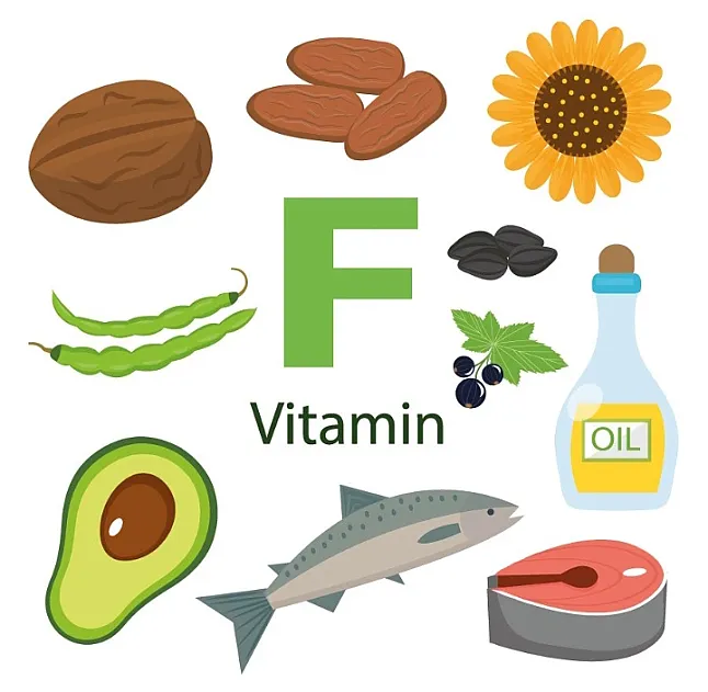 F Vitamini Nedir ?