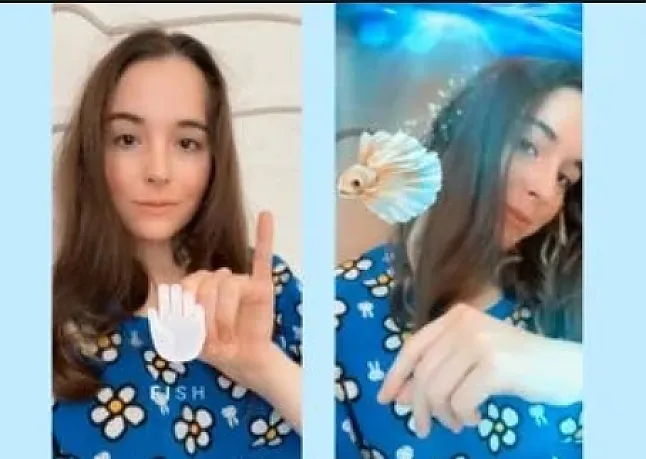 Snapchat'te Ücretsiz ASL Nasıl Öğrenilir ?