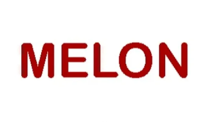 Musk Melon Coin Nedir ?