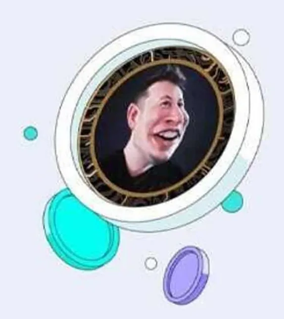 Musk Melon Coin