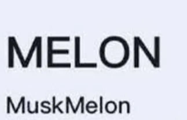 Musk Melon Coin Nedir ?