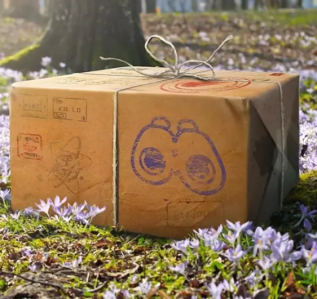 Pokemon GO Mayıs Topluluk Günü