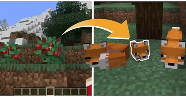 Minecraft'ta Tilki Yetiştirmek