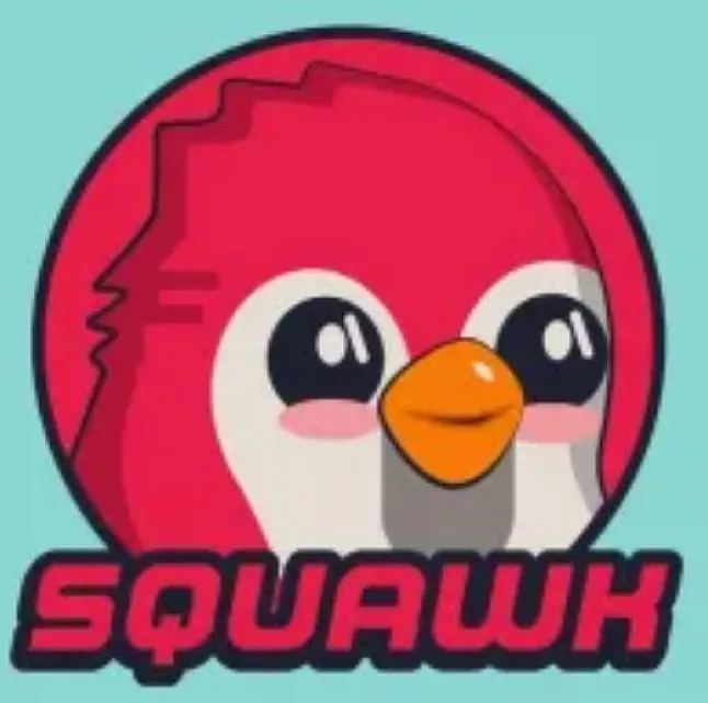 Squawk Coin Nedir ?Squawk Coin Ne İşe Yarar?