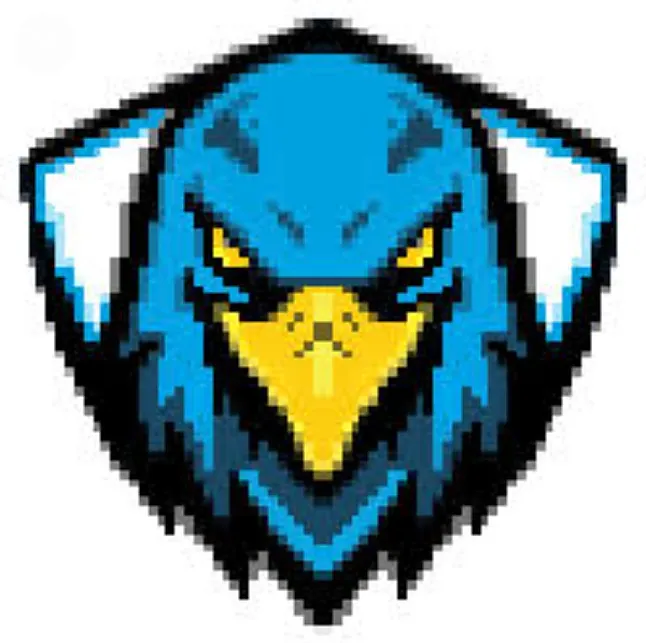 Hawk Coin değerlendirmesi 