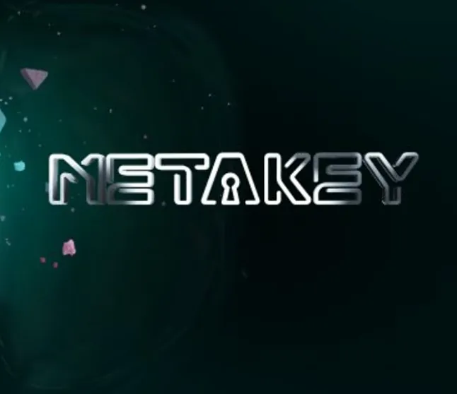 Metakey Coin Nedir ?