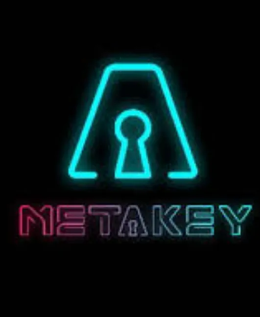 Metakey Coin Ne işe yarar