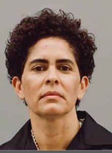 Julie Mehretu kariyer Julie Mehretu kariyer