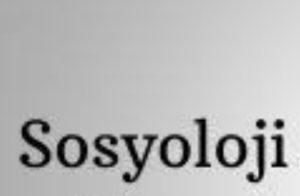 Rüyada Sosyoloji Görmek Ne Anlama Gelir?