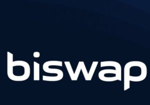 Biswap Coin Nedir?BSW Coin Ne İşe Yarar?