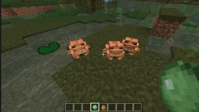 Minecraft'ta Kurbağalar Nasıl Yetiştirilir?2022
