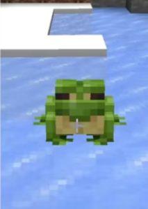 Minecraft'ta Her Türlü Kurbağa Nasıl Yumurtlar 