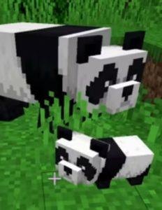 Minecraft'ta Pandalar Nasıl Yetiştirilir?