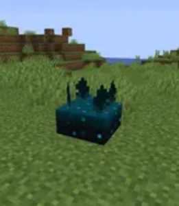 Minecraft'ta Sculk Catalyst Nasıl Alınır ve Kullanılır