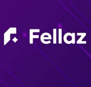 Fellaz (FLZ) Coin Nedir ?FLZ Coin Ne İşe Yarar?