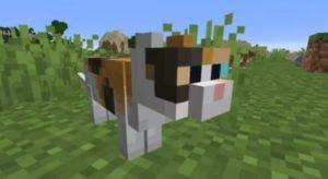 Minecraft'ın Evcilleştirilecek En İyi Çeteleri Hangileridir?