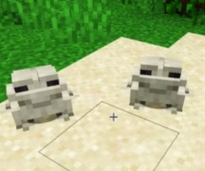 Minecraft Mangrov Bataklıkları Nasıl Bulunur ?