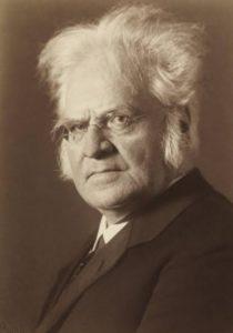 Şair Björnstjerne Björnson Kariyeri Björnstjerne Björnson Kariyer