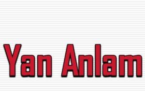 Yan Anlamlı Cümle Örnekleri