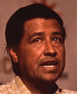 Cesar Chavez'in Biyografisi hakkında bilgiler Cesar Chavez Biyografisi