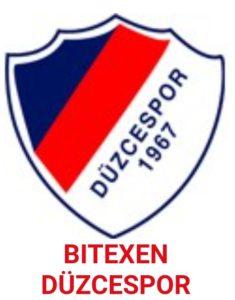 Tarsus İdman Yurdu - Düzce Spor maçı