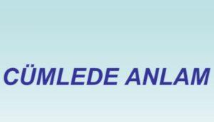 Cümlede Anlam İlişkileri